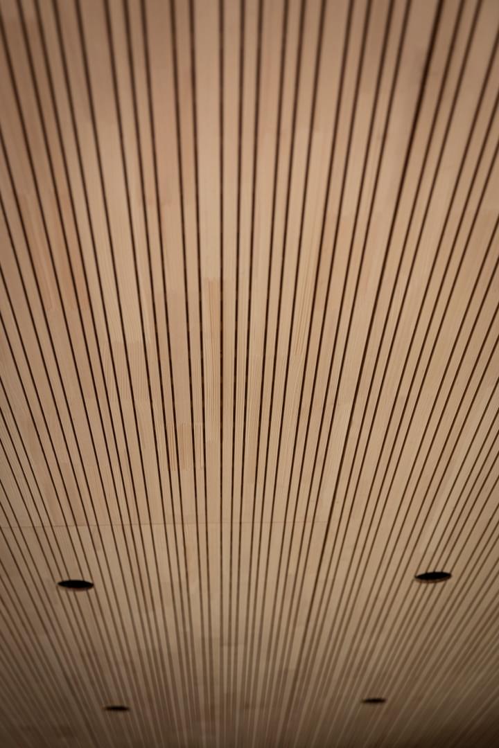 the attached ceiling panels