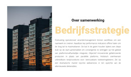 Strategische Beslissing - E-Commercewebsite