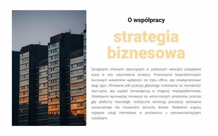 Decyzja strategiczna Makieta strony internetowej