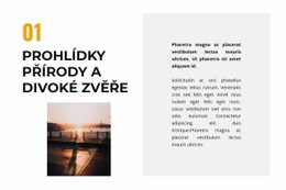 Šablona CSS Pro Život Ve Volné Přírodě