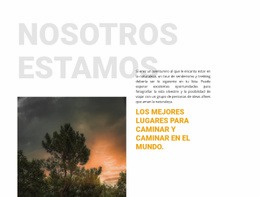 Protegemos La Naturaleza - Página De Destino Multipropósito