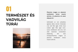 A Legjobb Webhely Élet A Vadonban Számára