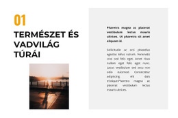 Css-Sablon Ehhez: Élet A Vadonban