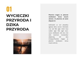 Życie Na Wolności - Niestandardowy Projekt Strony Internetowej