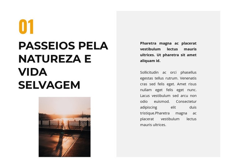 Vida na selva Design do site