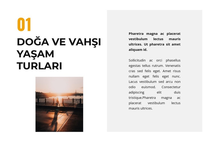 vahşi yaşam Web Sitesi Mockup'ı