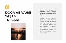 Vahşi Yaşam - Özel Web Sitesi Tasarımı