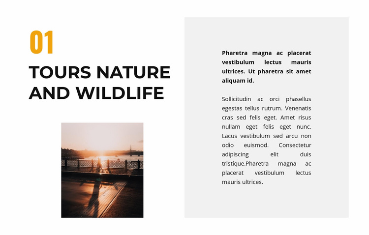 Life in the wild Website Design