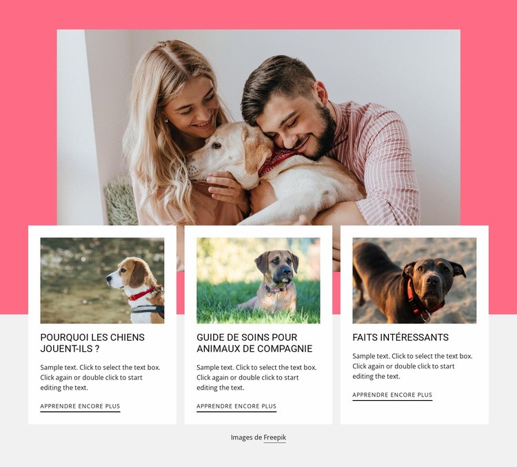 Faits intéressants sur les chiens Conception de site Web