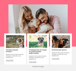 Интересные Факты О Собаках – Шаблон HTML-Страницы
