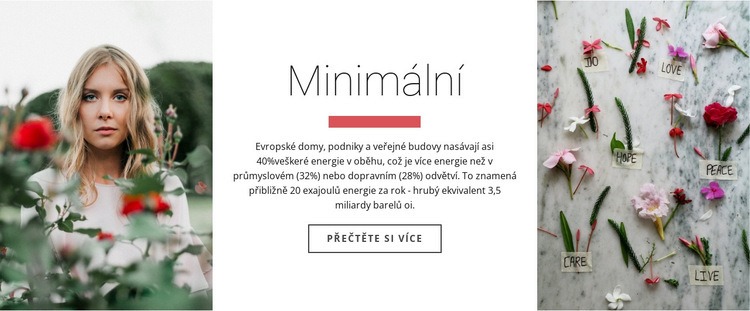 Minimum a krása Šablona webové stránky