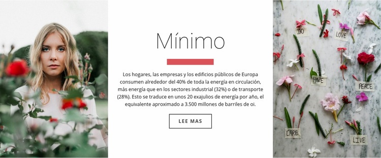 Mínimo y belleza Creador de sitios web HTML