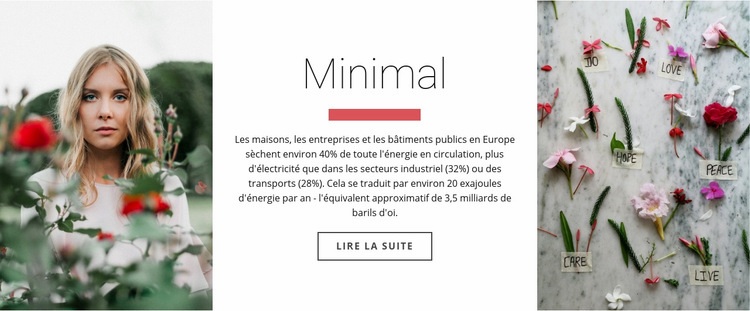 Minimal et beauté Conception de site Web