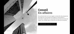 Conseil En Entreprise - Créateur De Sites Web Polyvalent