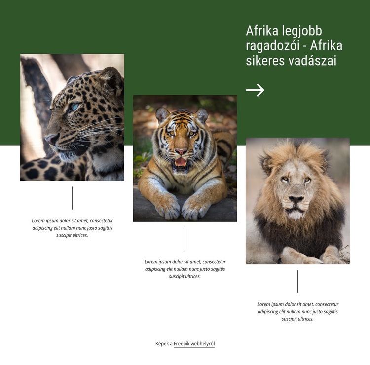 Afrika sikeres vadászai HTML Sablon