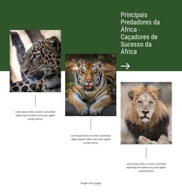 Caçadores De Sucesso Da África Construtores De Site