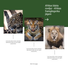 Afrikas Framgångsrika Jägare - Premium WordPress-Tema