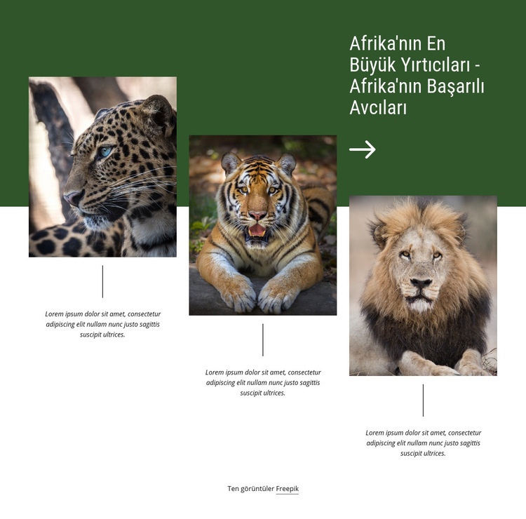 Afrika'nın Başarılı Avcıları Bir Sayfa Şablonu