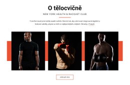 O Tělocvičně – Responzivní Téma WordPress