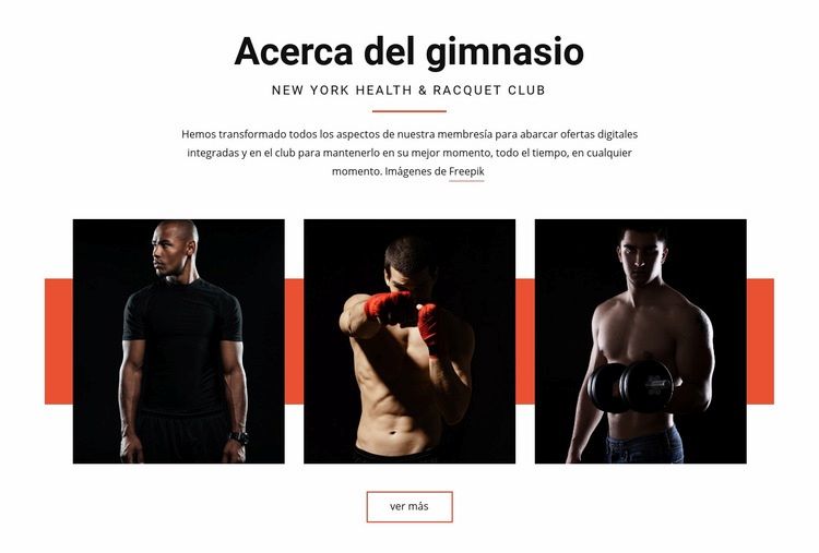 Acerca del gimnasio Diseño de páginas web