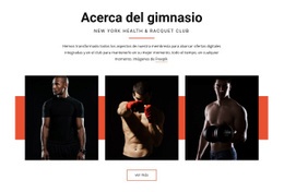 Acerca Del Gimnasio