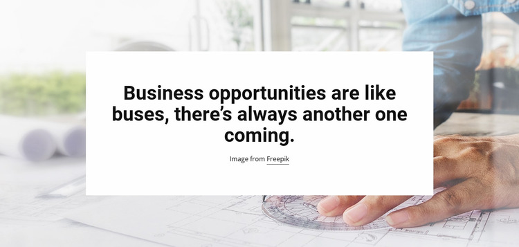 Business Opportunities Website Mockup