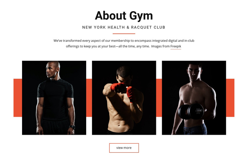 About Gym Wix Template Alternative