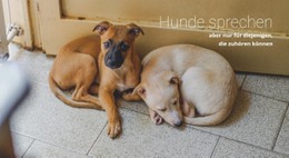 Helfen Sie Tierheim Vorlage In Voller Breite