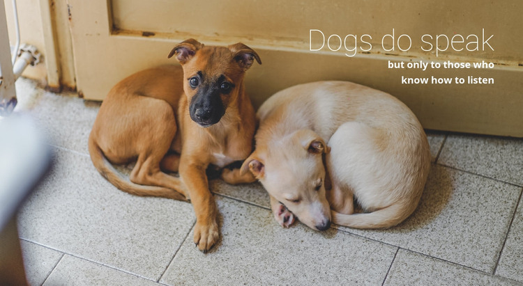 Help animal shelter Homepage Design