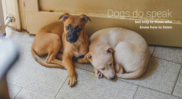 Help Animal Shelter - Free Professional Joomla Template