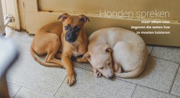 Help Dierenasiel Sjabloon Over De Volledige Breedte