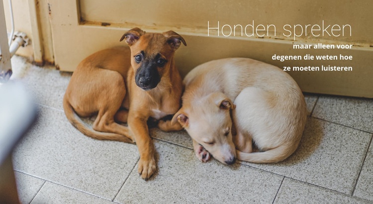 Help dierenasiel Website Builder-sjablonen