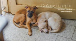 Помогите Приюту Для Животных – Универсальный Одностраничный Шаблон