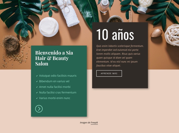 Spa Peluquería y salón de belleza Plantillas de creación de sitios web