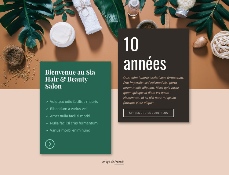 Spa Hair & Beauty Salon Modèle HTML