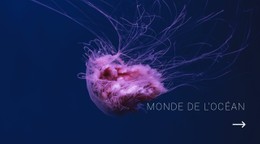 Monde Océanique Modèle De Site