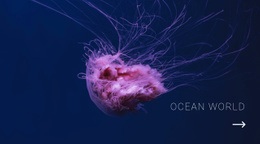 Ocean World - Free Html Code
