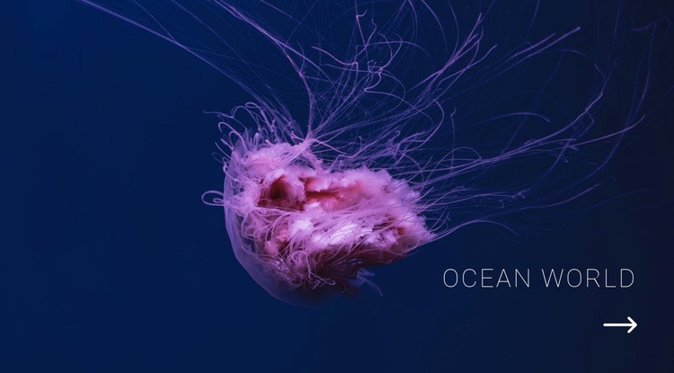 Świat oceanów Makieta strony internetowej
