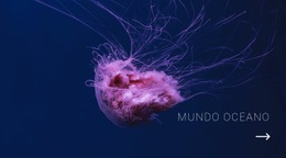 Mundo Oceano - Modelo De Maquete De Site