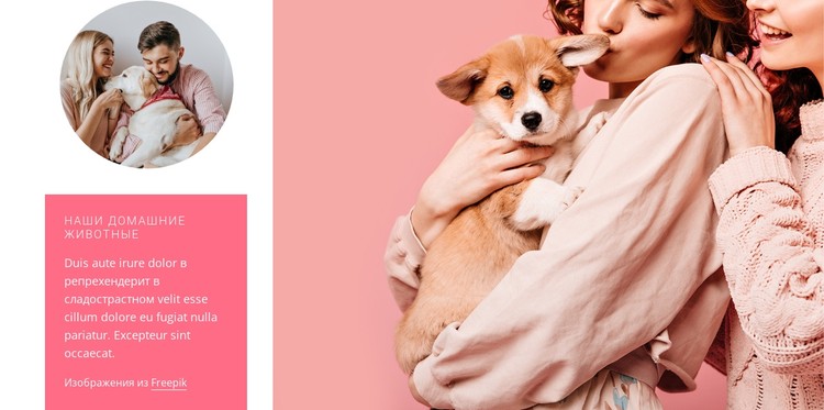 Собака, факты и фото CSS шаблон