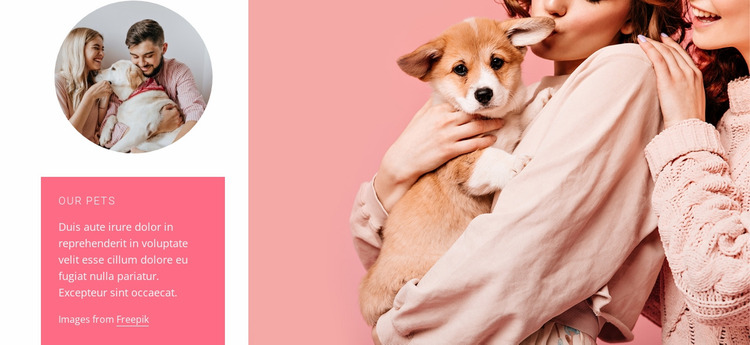 Dog, facts and photos Website Mockup