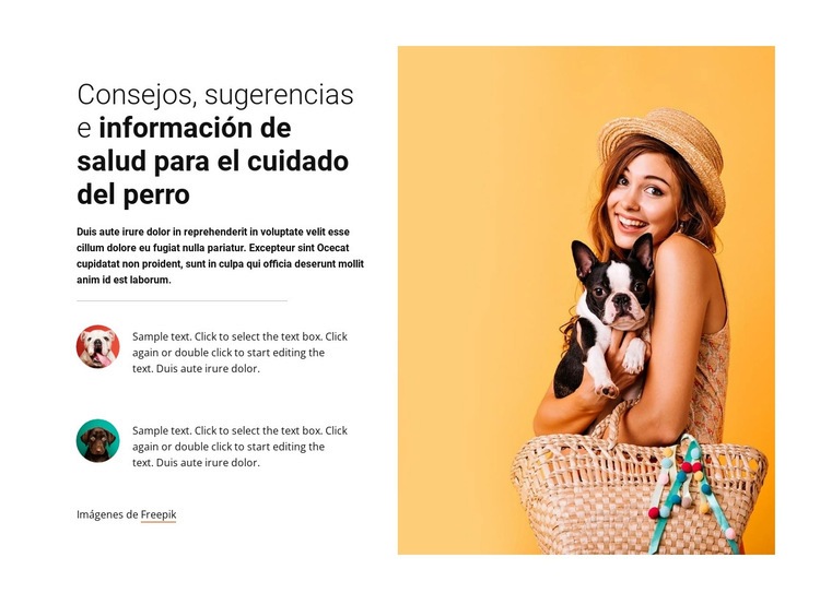 Consejos para el cuidado del perro Creador de sitios web HTML