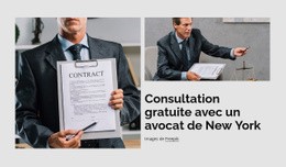 Consultation Juridique Gratuite Conception De Sites Web