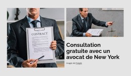 Consultation Juridique Gratuite - Modèles De Maquette