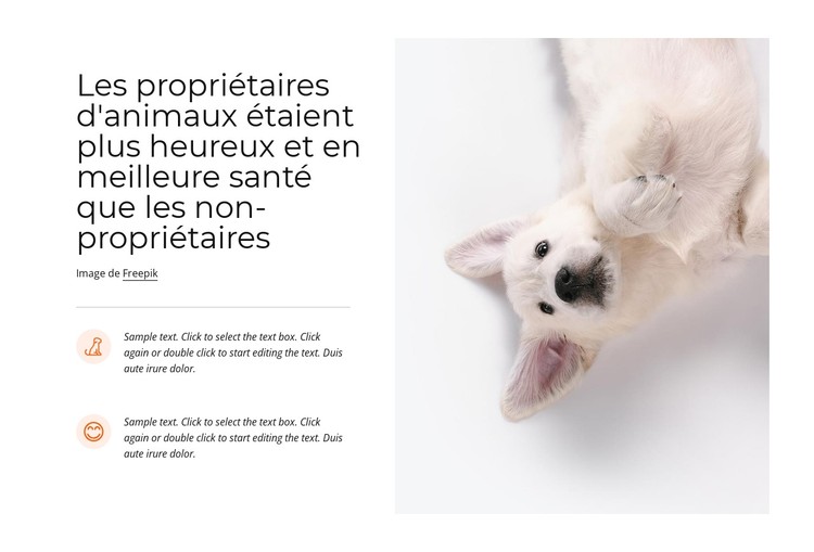 Posséder un animal de compagnie Modèle CSS