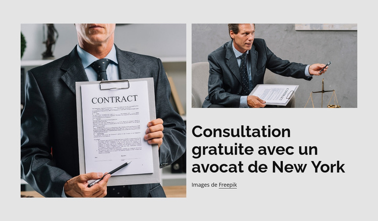 Consultation juridique gratuite Thème WordPress