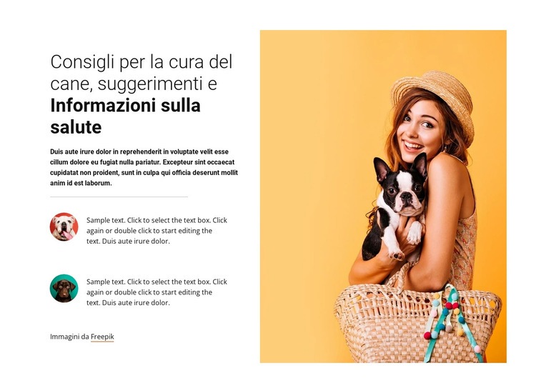 Consigli per la cura del cane Costruttore di siti web HTML