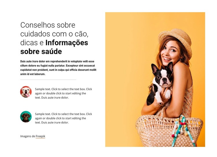 Conselhos sobre cuidados com cães Modelos de construtor de sites