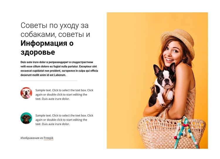 Советы по уходу за собакой CSS шаблон