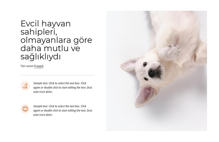 Evcil hayvan sahipliği CSS Şablonu